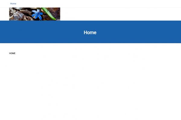 my site